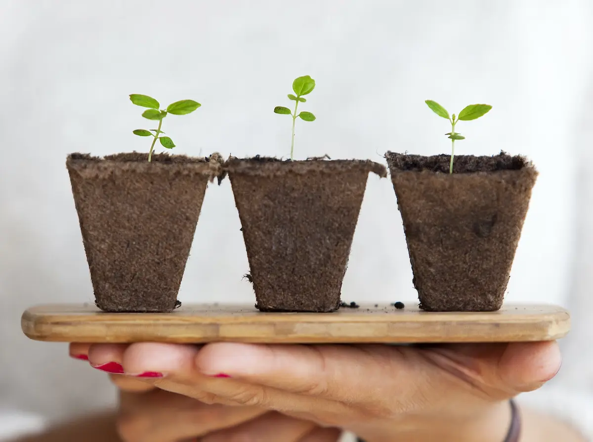 رشد محصولمحور یا Product-led Growth چیست؟